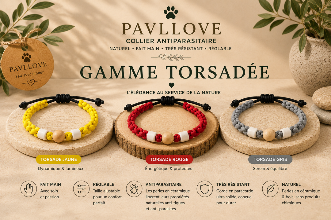 Collier Torsade bleu clait Anti-Tiques Naturel, Antiparasitaire avec Perles de Céramique EM ⭐⭐⭐⭐⭐ - Pavllove
