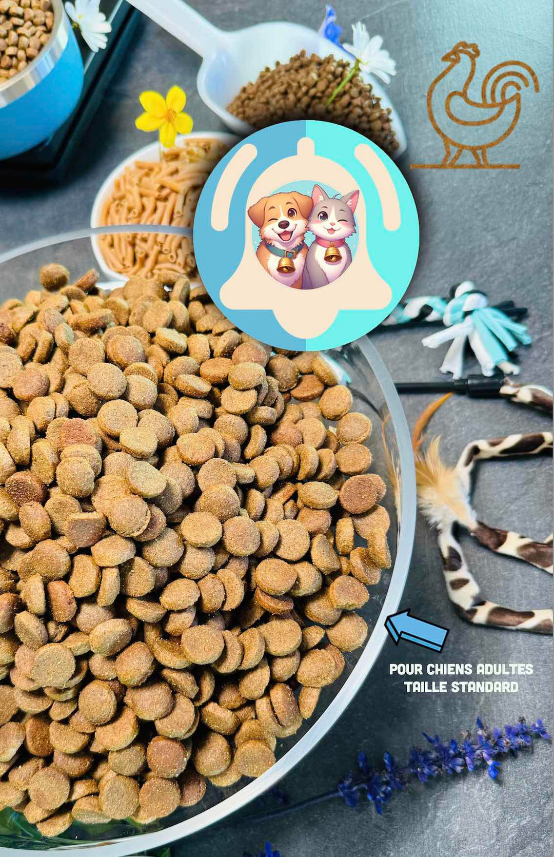 Croquettes haut de gamme pour chien Adulte & Senior - Poulet - Pavllove