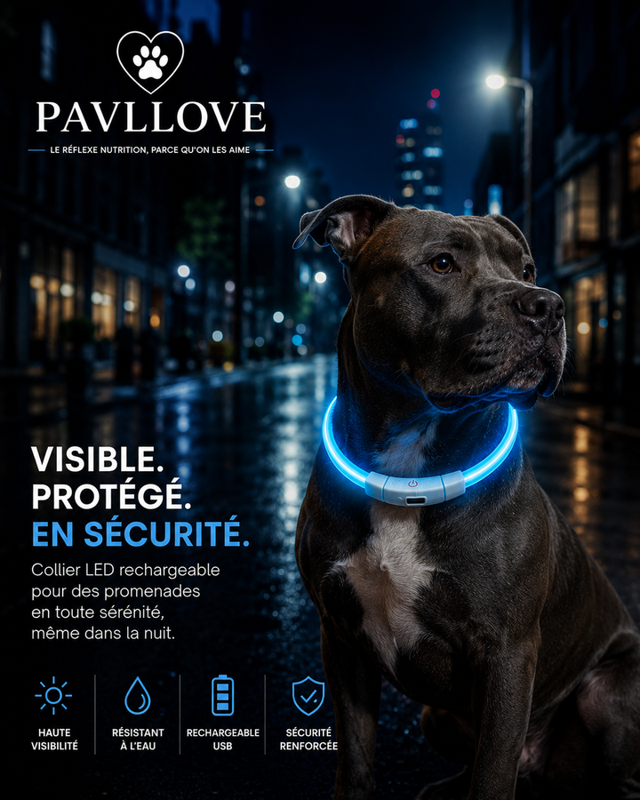 Colliers LED Pavllove pour chiens et chats ⭐⭐⭐⭐⭐ - Pavllove