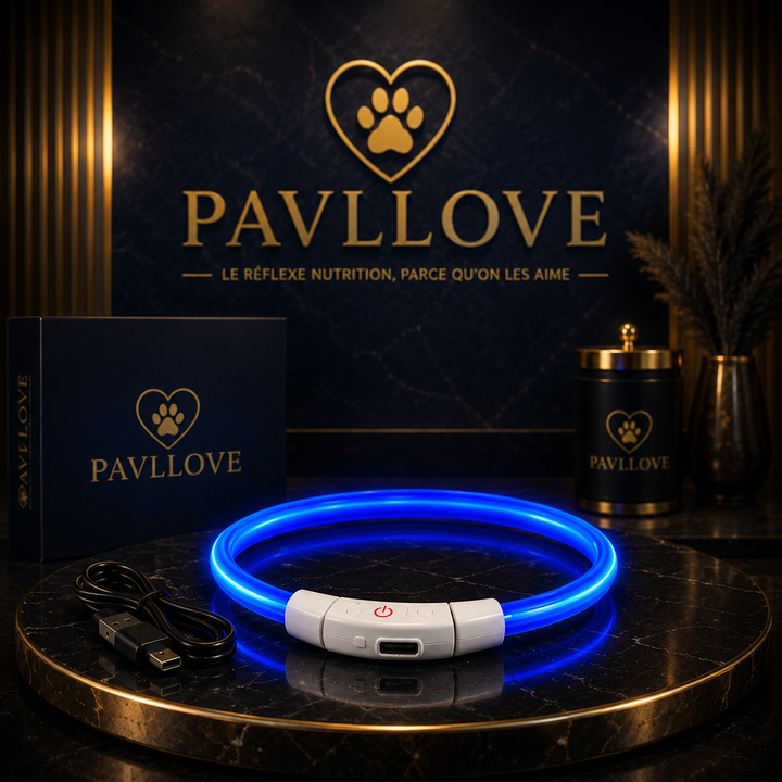Colliers LED Pavllove pour chiens et chats ⭐⭐⭐⭐⭐ - Pavllove
