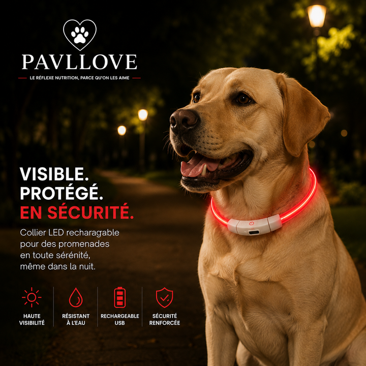 Colliers LED Pavllove pour chiens et chats ⭐⭐⭐⭐⭐ - Pavllove