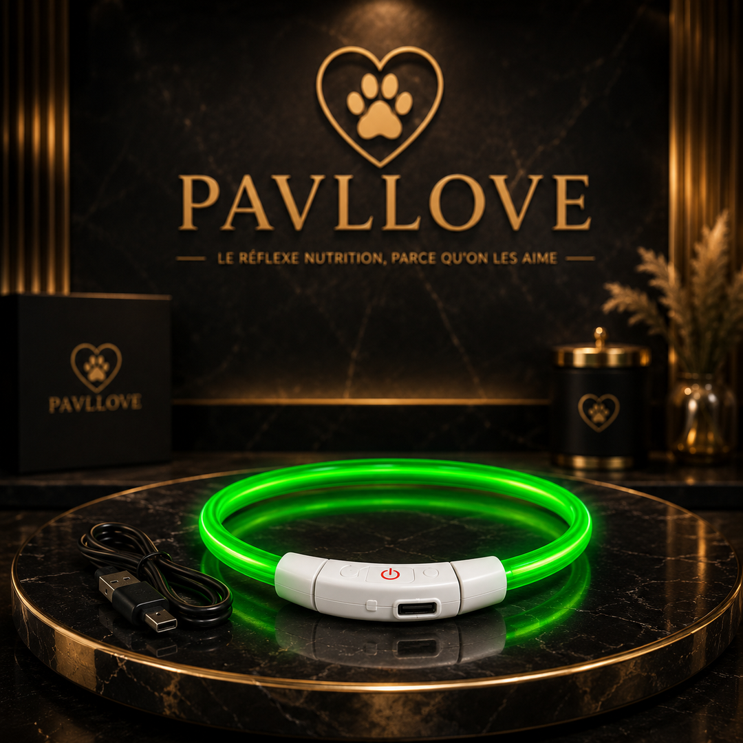 Colliers LED Pavllove pour chiens et chats ⭐⭐⭐⭐⭐ - Pavllove