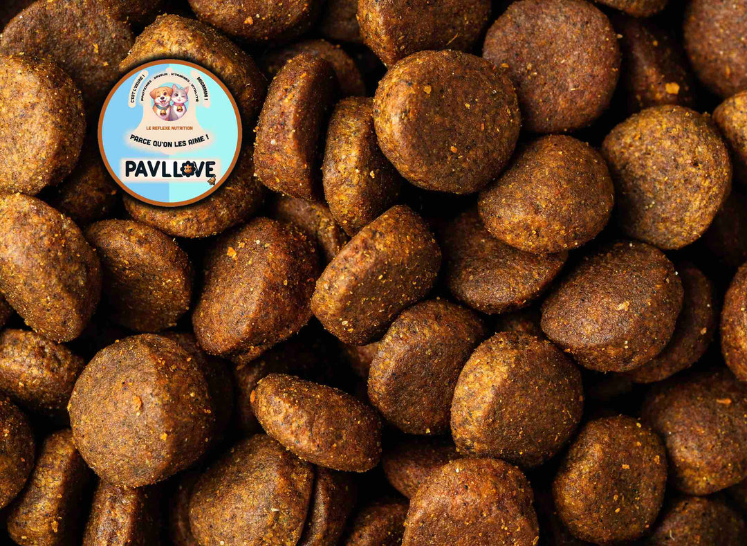 Croquettes haut de gamme pour chien sportif (gestation / lactation / compétition) -Volaille ⭐⭐⭐⭐⭐ - Pavllove