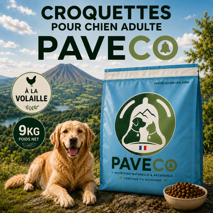 Croquettes chien adulte rapport qualité prix à la volaille fabriquées en Auvergne