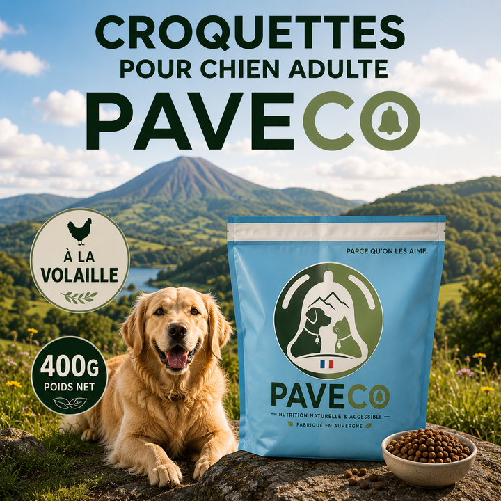 Croquettes économiques pour chien adulte toutes races à la volaille PAVECO