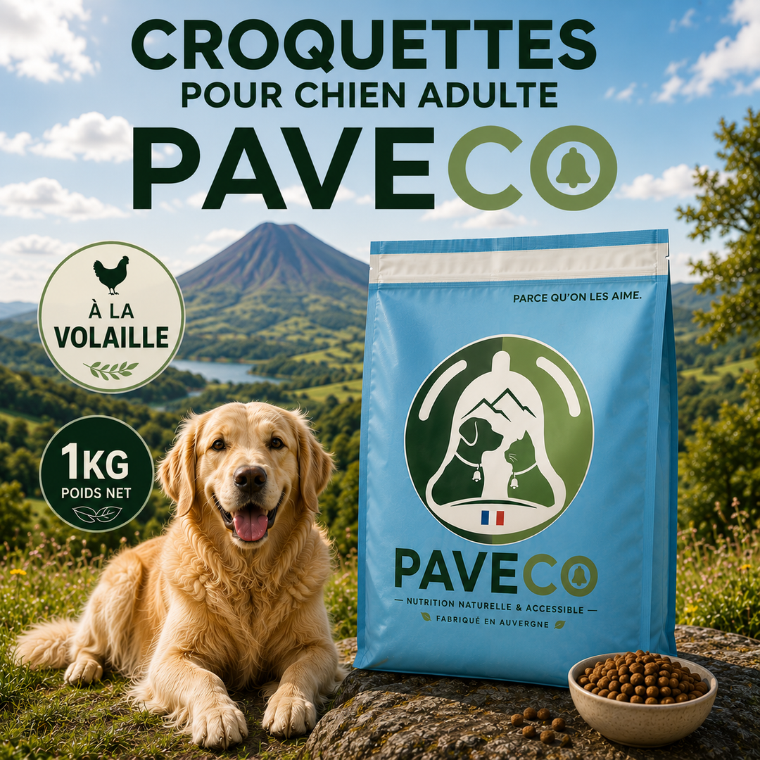 Croquettes chien adulte à petit prix avec 22 % de protéines PAVECO Auvergne