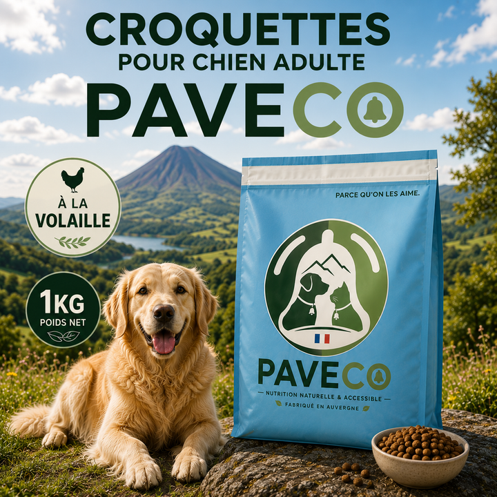Croquettes chien adulte à petit prix avec 22 % de protéines PAVECO Auvergne