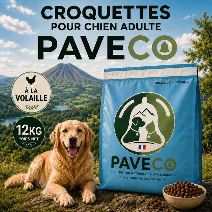 Croquettes économiques chien adulte toutes tailles avec protéines animales et volaille