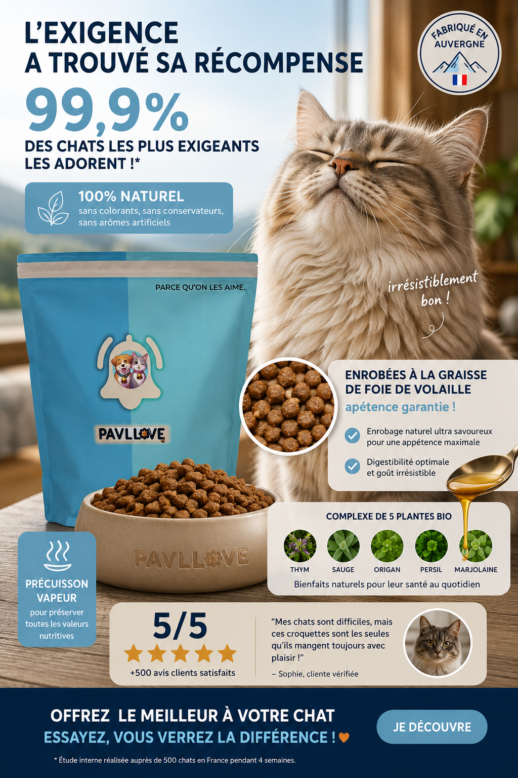 Recette premium au saumon pour une alimentation équilibrée du chat