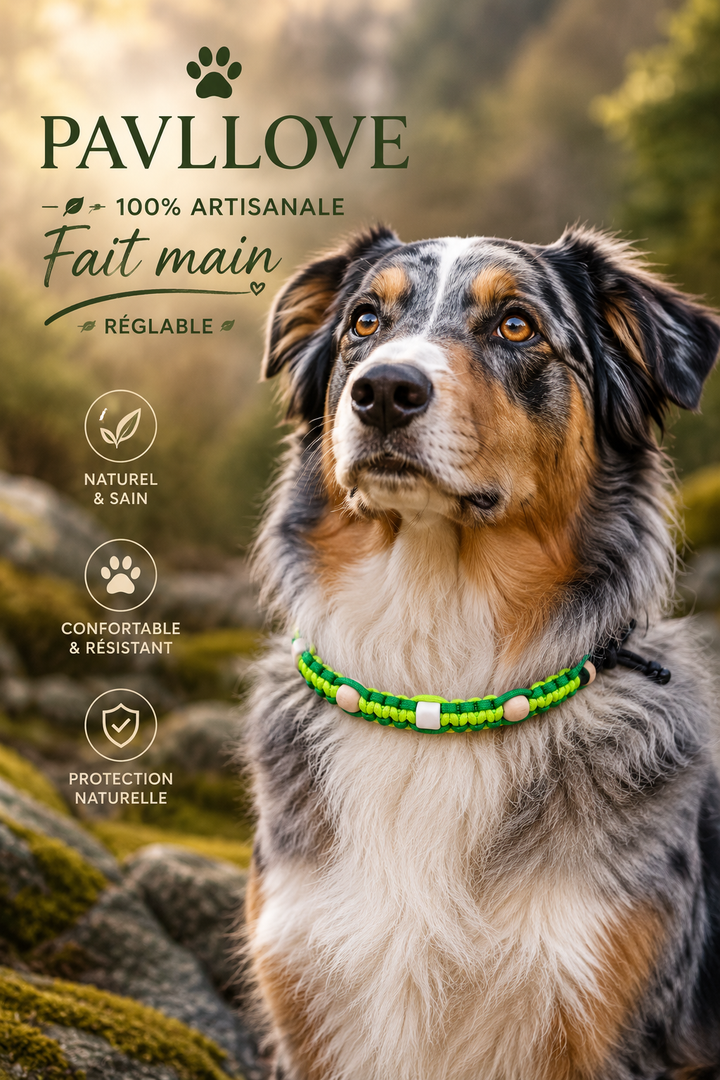Colliers Vert Anti-Tiques & Antiparasitaire Naturel (Tréssée) avec Perles de céramique EM ⭐⭐⭐⭐⭐ - Pavllove