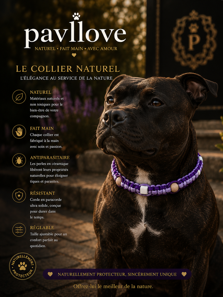 Colliers Violet & mauve Anti-Tiques & Antiparasitaire Naturel (Tréssée) avec Perles de céramique EM ⭐⭐⭐⭐⭐ - Pavllove