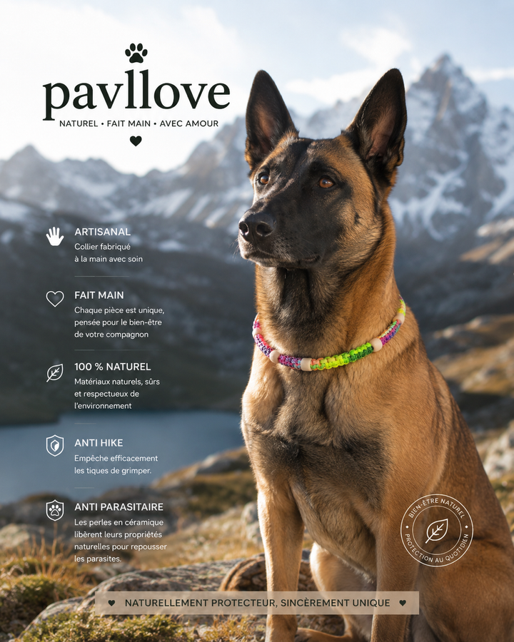 Collier Anti-Tiques & Antiparasitaire Naturel Chien et Chat, Fait Main en France, Perles de Céramique EM