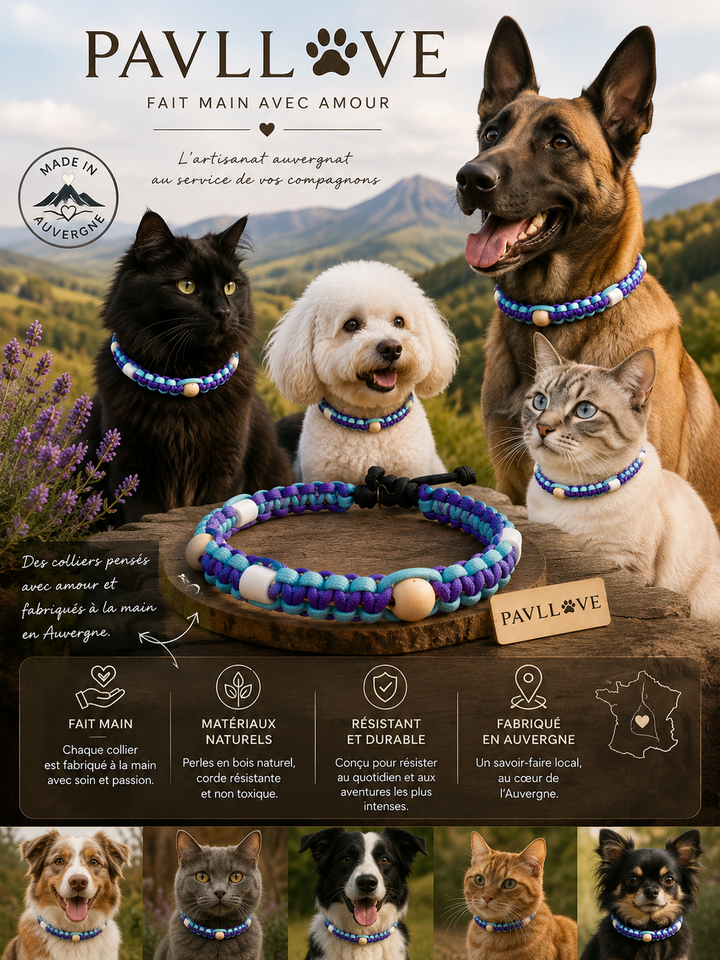 Collier Anti-Tiques & Antiparasitaire Naturel Chien et Chat, Fait Main en France, Perles de Céramique EM (Gamme Tréssée) ⭐⭐⭐⭐⭐ - Pavllove