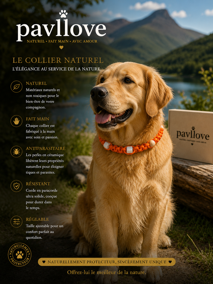 Collier Orange Torsadé Anti-Tiques Naturel, Antiparasitaire avec Perles de Céramique EM ⭐⭐⭐⭐⭐ - Pavllove