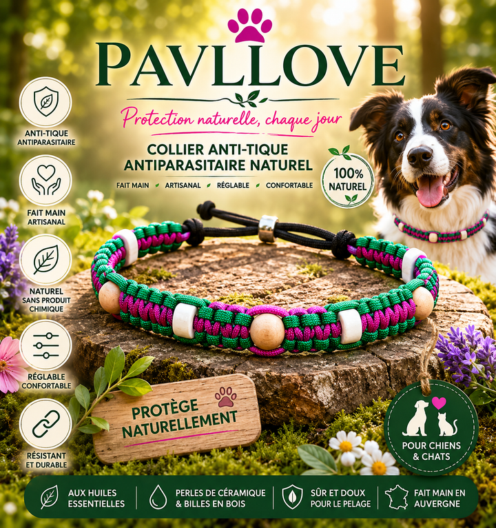 Collier Anti-Tiques & Antiparasitaire Naturel Chien et Chat, Fait Main en France, Perles de Céramique EM