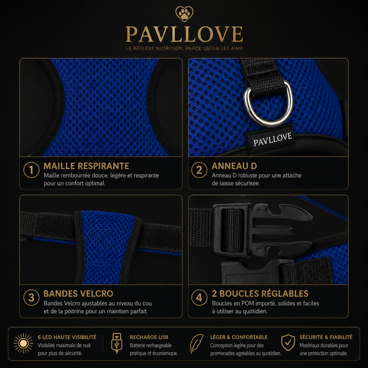 Harnais LED Pavllove pour Chien Sécurité lumineuse, confort & haute visibilité ⭐⭐⭐⭐⭐ - Pavllove