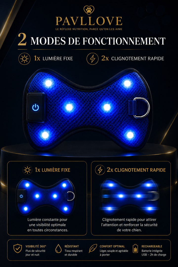 Harnais LED Pavllove pour Chien Sécurité lumineuse, confort & haute visibilité ⭐⭐⭐⭐⭐ - Pavllove