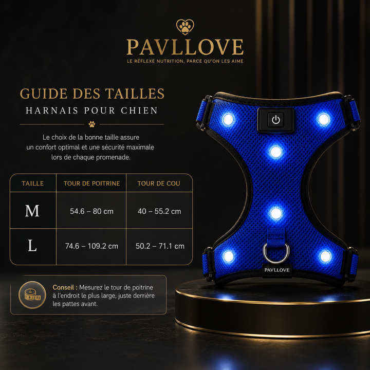 Harnais LED Pavllove pour Chien Sécurité lumineuse, confort & haute visibilité ⭐⭐⭐⭐⭐ - Pavllove