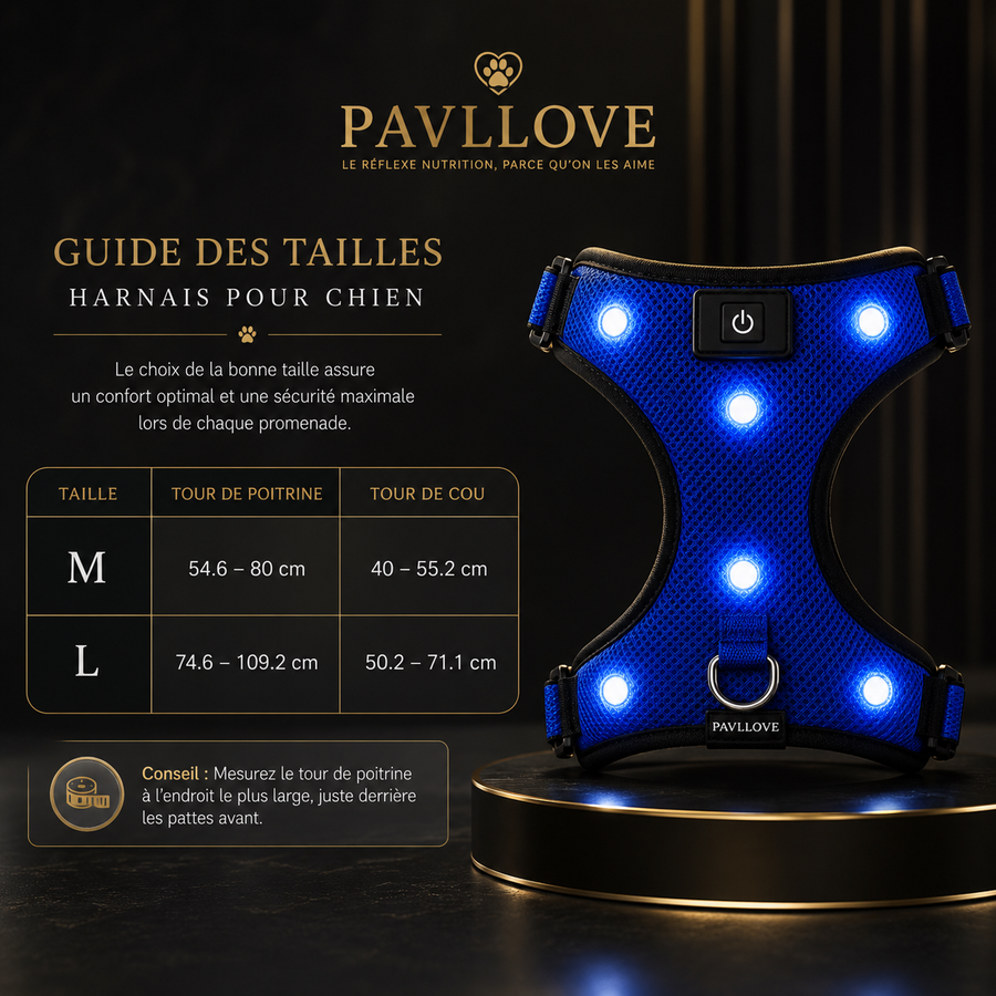 Harnais LED Pavllove pour Chien Sécurité lumineuse, confort & haute visibilité ⭐⭐⭐⭐⭐ - Pavllove