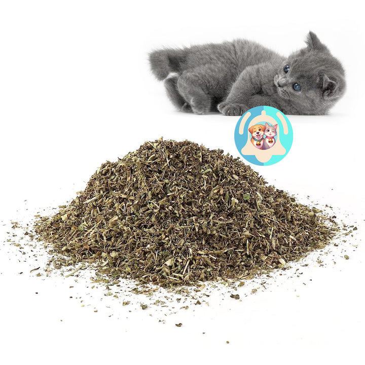 Cat'Air - Herbe séchée pour chat cataire ⭐⭐⭐⭐⭐ - Pavllove