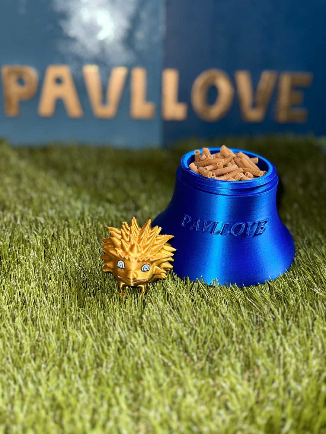 Récipient friandises & croquettes (Personnalisable) ⭐⭐⭐⭐⭐ - Pavllove