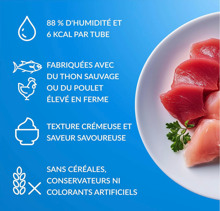 INABA Churu – Friandises Liquides pour Chats – 4 Saveurs de Poulet – 40 Tubes x 14g ⭐⭐⭐⭐⭐ - Pavllove
