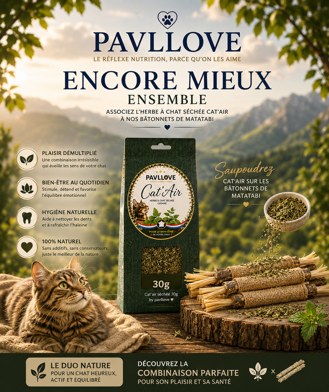 Cat'Air - Herbe séchée pour chat cataire ⭐⭐⭐⭐⭐ - Pavllove