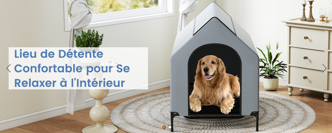 🏡 La Niche pour chien, d'exterieur ou d'interieur, Robuste, Ventilée & Facile à Vivre ! 🐾 - Pavllove