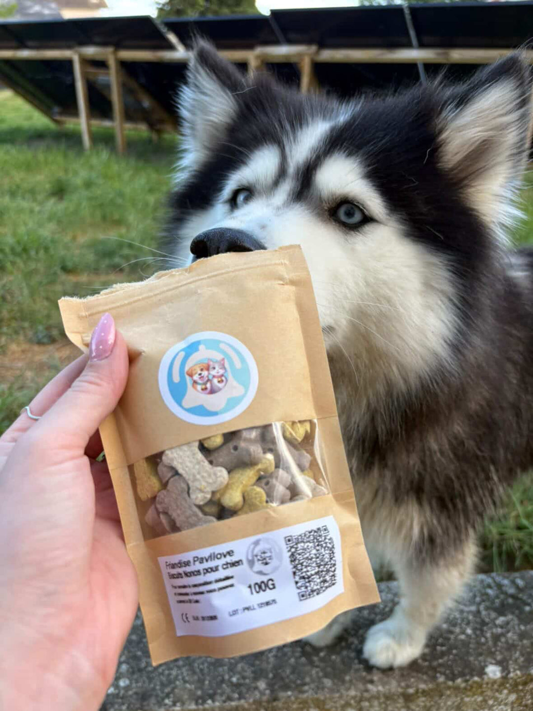 Nonos friandises pour chien ⭐⭐⭐⭐⭐ - Pavllove