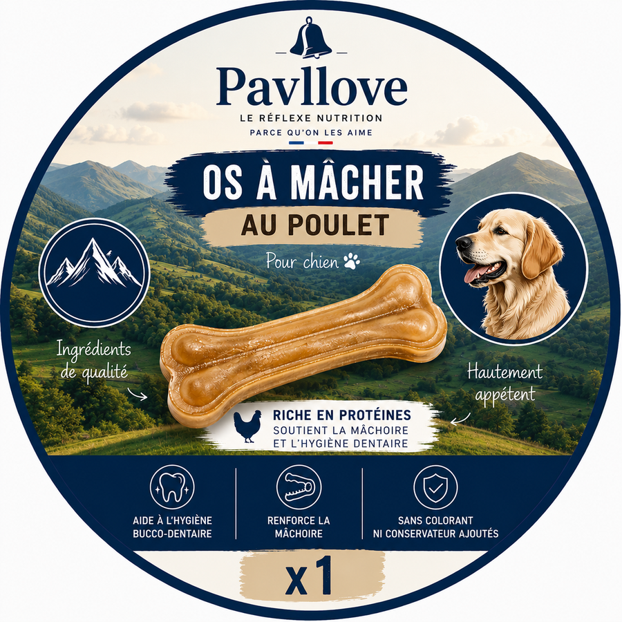 🦴 Os à mâcher au poulet pour chien x1 ⭐⭐⭐⭐⭐ - Pavllove