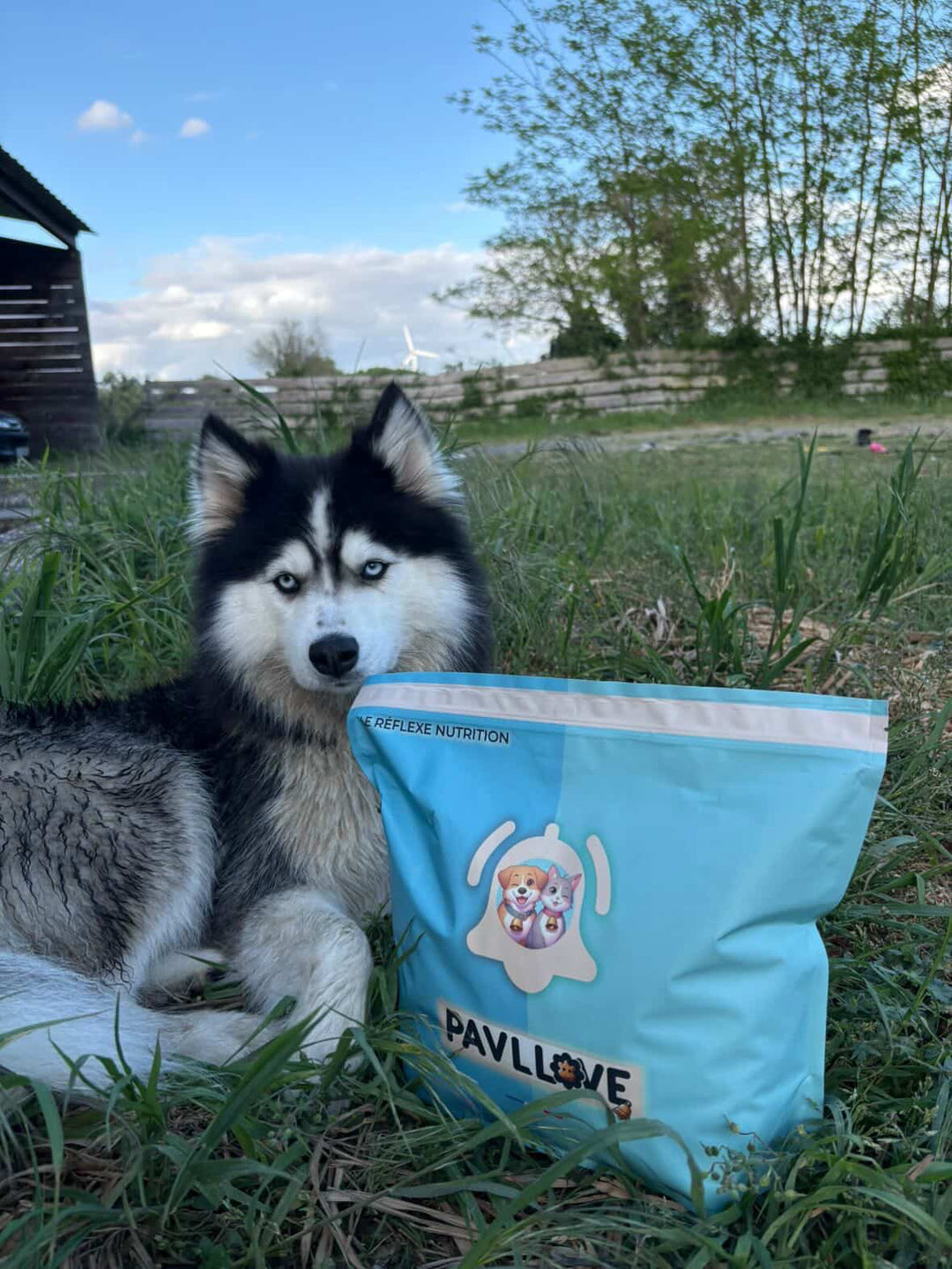 Croquettes sans céréales pour chien Adulte (Volaille) ⭐⭐⭐⭐⭐ - Pavllove