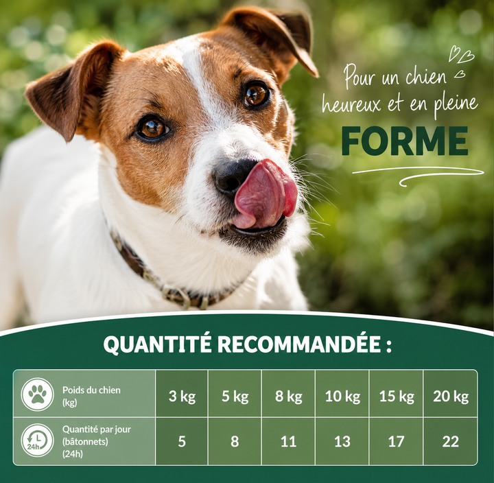 🐶 Topping Poulet & Fromage 14g (sauce) ⭐⭐⭐⭐⭐ - Pavllove