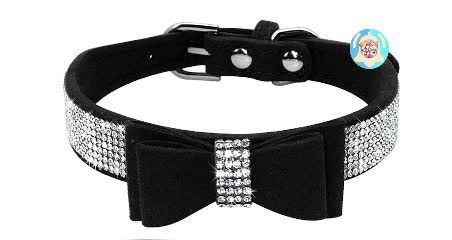 Collier nœud papillon bijoux pour chiens et chats ⭐⭐⭐⭐⭐ - Pavllove
