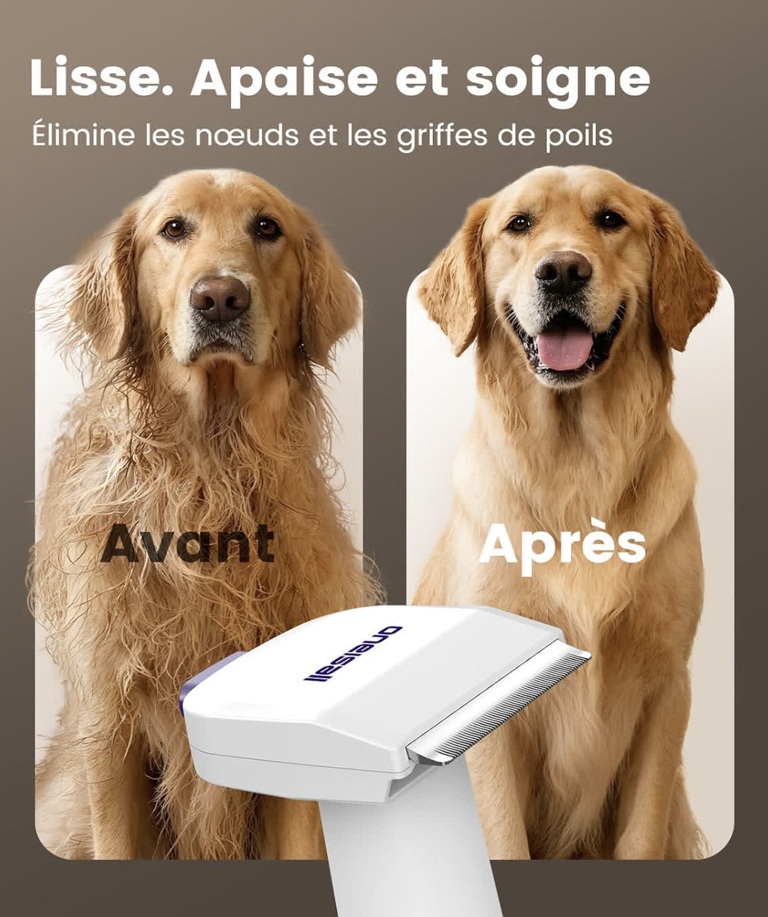 Aspirateur brosse pour chien à poils longs permettant de retirer les poils morts et de limiter leur dispersion dans la maison