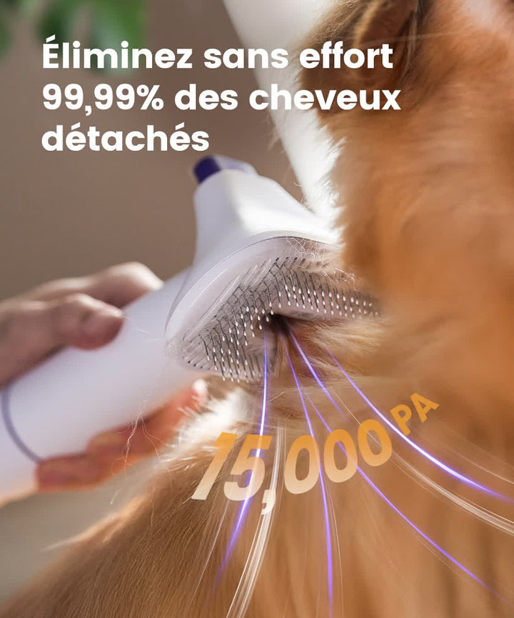 Aspirateur de toilettage pour animaux avec trois niveaux de puissance réglables pour adapter le brossage aux chiens et aux chats