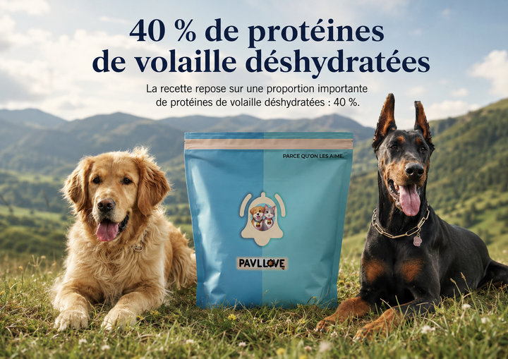 Croquettes chien sportif 40 % protéines de volaille déshydratées Pavllove