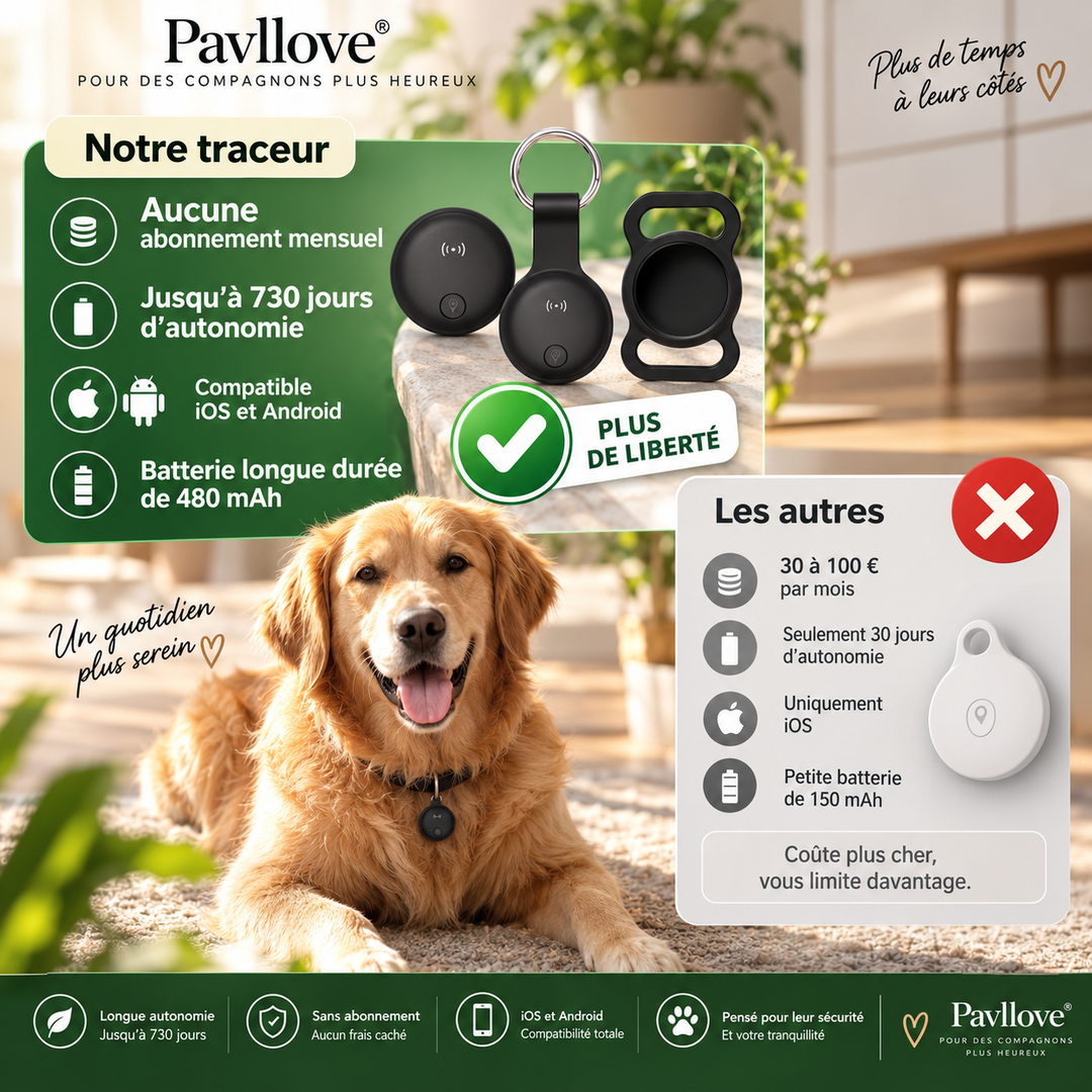 Balise GPS pour chien fixée au collier avec localisation sur smartphone