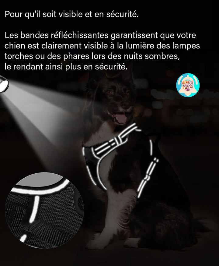 Harnais anti-traction pour chien ⭐⭐⭐⭐⭐ - Pavllove
