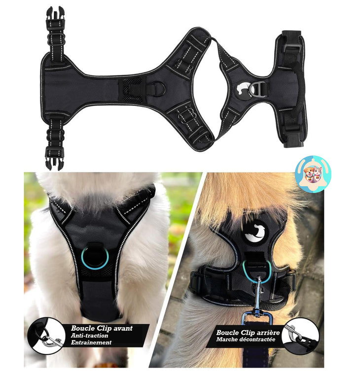 Harnais anti-traction pour chien ⭐⭐⭐⭐⭐ - Pavllove
