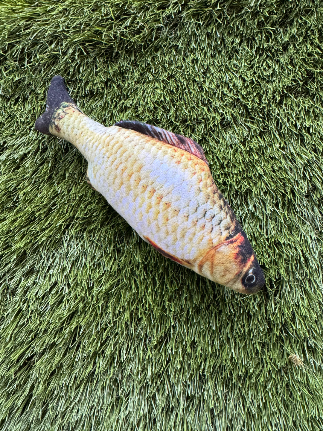 🐟 Jouet poisson Le doudou préféré des chats 🐱 ⭐⭐⭐⭐⭐ - Pavllove