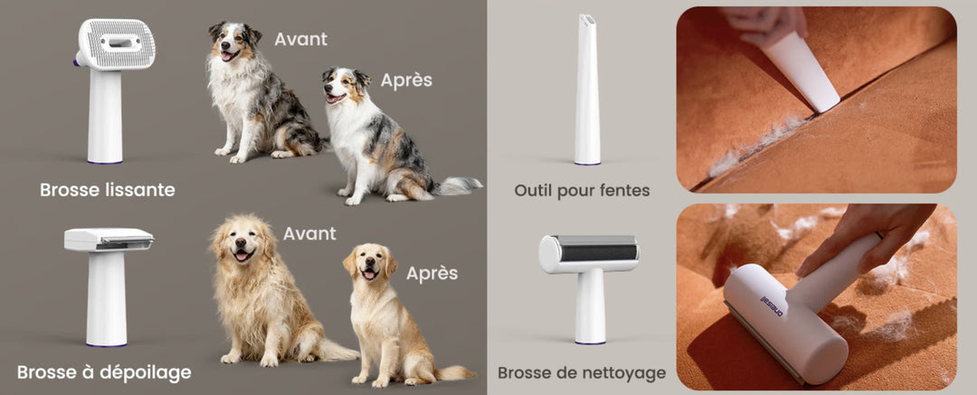 Brosse aspirante pour chien et chat avec embouts de toilettage et accessoire pour nettoyer les poils sur les vêtements et les tapis