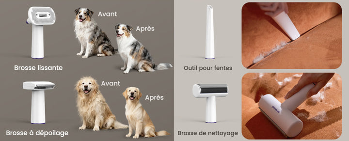 Brosse aspirante pour chien et chat avec embouts de toilettage et accessoire pour nettoyer les poils sur les vêtements et les tapis