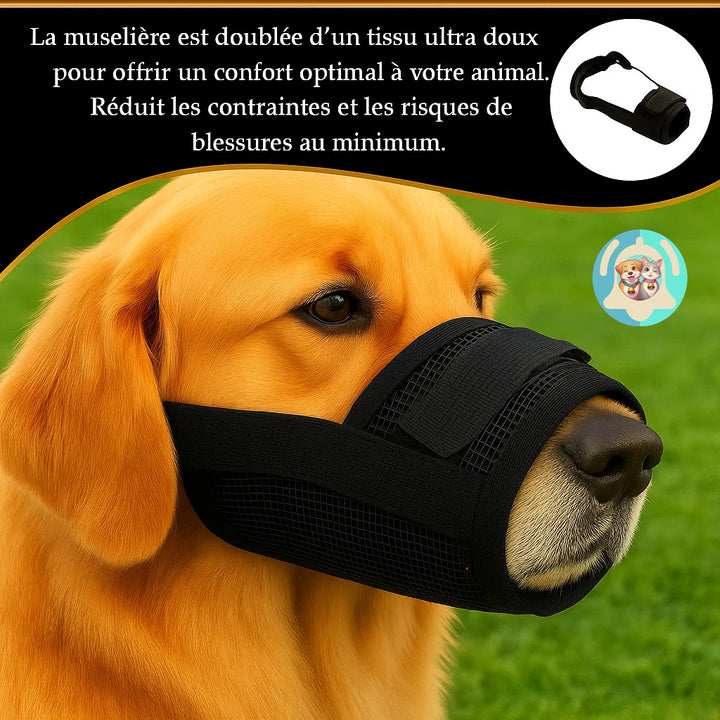 🐾 Muselière Confort Pavllove, Protection Douce & Sécurisée pour Votre Chien ⭐⭐⭐⭐⭐ - Pavllove