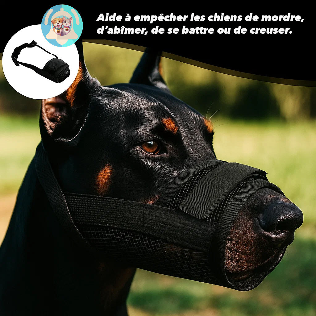 🐾 Muselière Confort Pavllove, Protection Douce & Sécurisée pour Votre Chien ⭐⭐⭐⭐⭐ - Pavllove