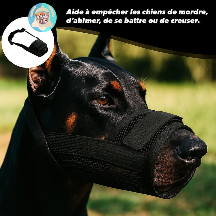 🐾 Muselière Confort Pavllove, Protection Douce & Sécurisée pour Votre Chien ⭐⭐⭐⭐⭐ - Pavllove