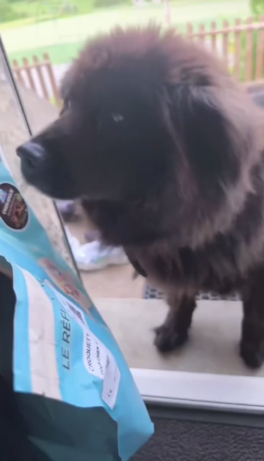 Croquettes sans céréales pour chien Adulte (Volaille) ⭐⭐⭐⭐⭐