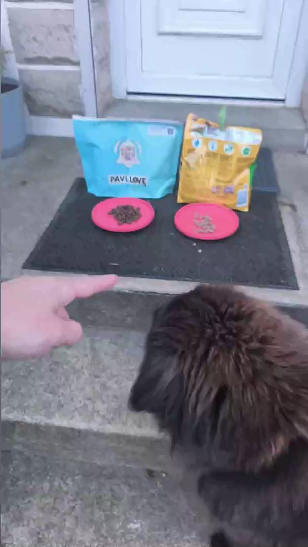 Croquettes chien de travail et de compétition Pavllove haute énergie