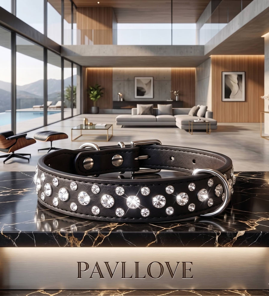Collier Strass Noir – Chien & Chat | Élégant, Résistant & Confortable ⭐⭐⭐⭐⭐ - Pavllove